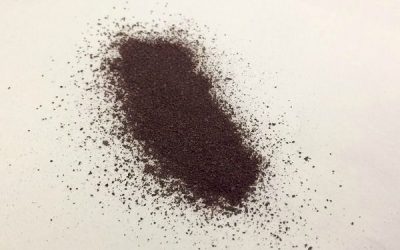 Espirulina cianoalgae