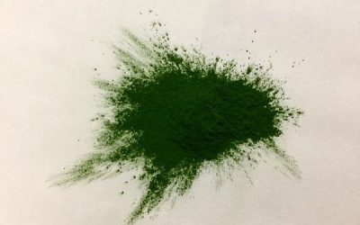 Spirulina cianoalgae 2